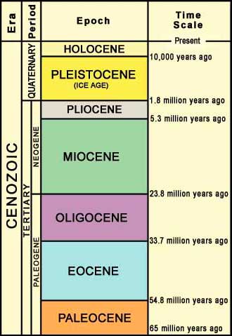 geologic time scale cenozoic. Geologic time scale