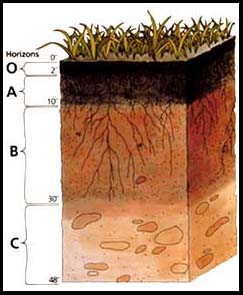 soil profile