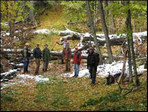 trail clearing