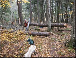 trail cleariing